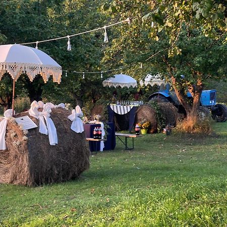 Kušneri 哲咖斯麦兹宾馆酒店 外观 照片
